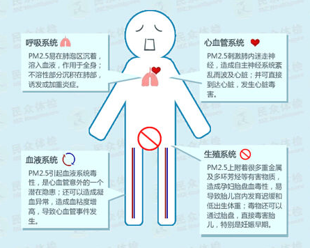 霧（wù）霾（mái）對人體的危害