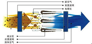 淨化原理（lǐ）